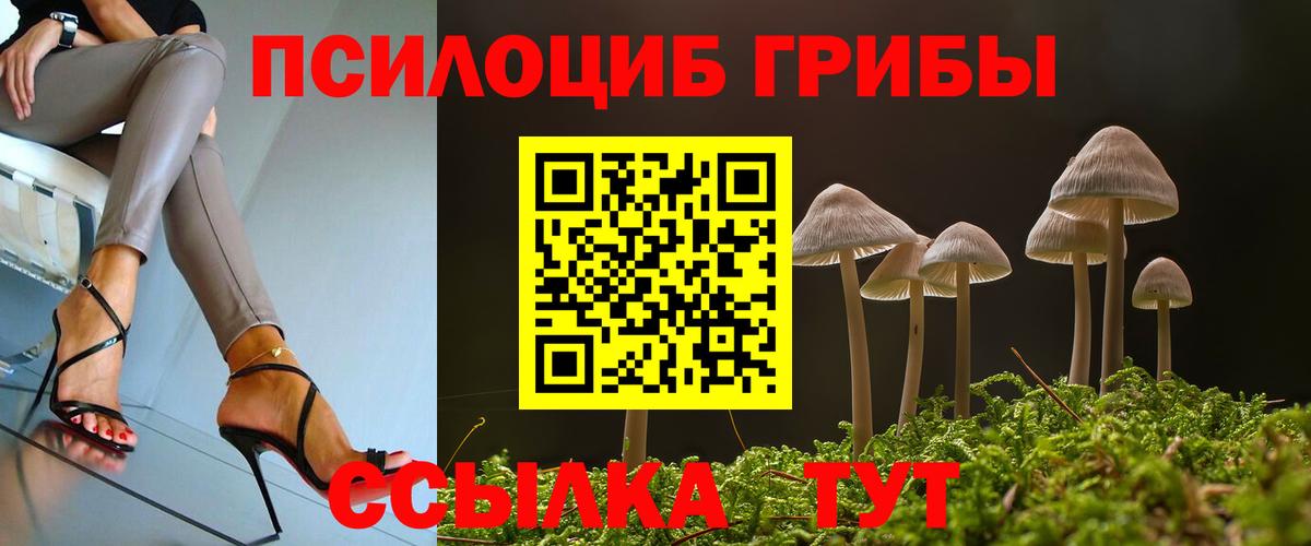 Кинель  Галлюциногенные грибы Cubensis  Вход с VPN  Псилоцибиновые грибы Psilocybe 