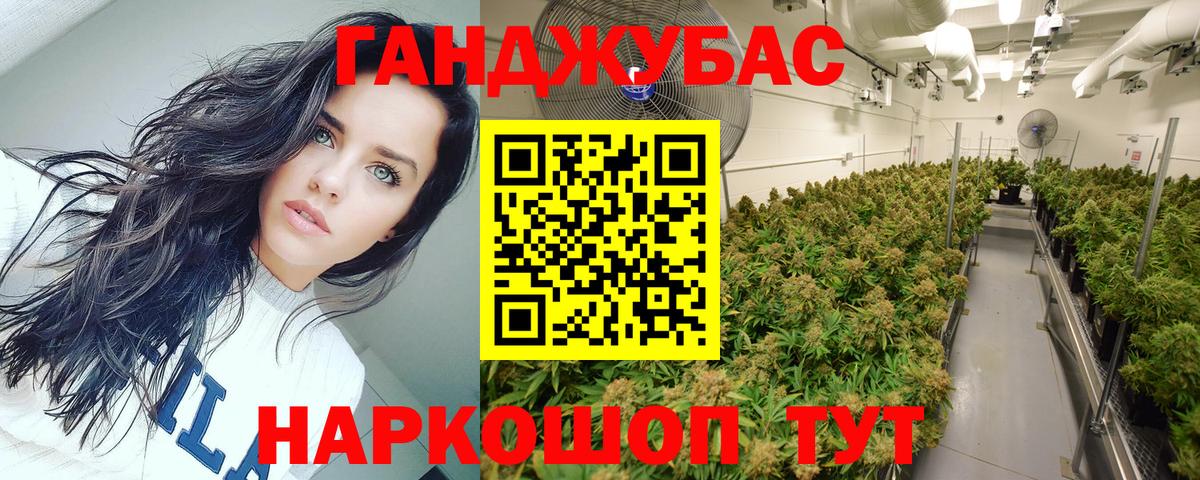 Каннабис Amnesia  Бошки марихуана семена  Канабис марихуана  Вход с VPN  Кинель 